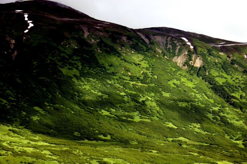 070404 Hope Hatcher Montana Creek (10042)
